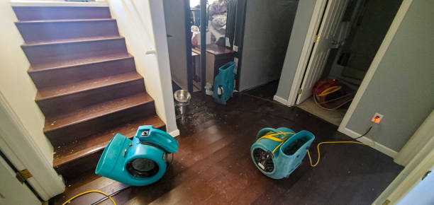 Best Mold removal after water damage  in Cortland, NY