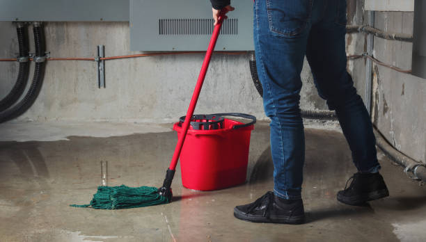 Best Residential water damage restoration  in Cortland, NY