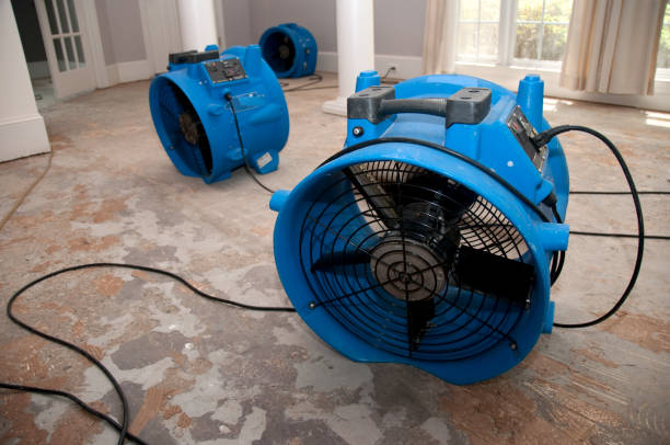 Best Water damage cleanup near me  in Cortland, NY