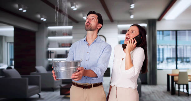 Best Water damage restoration near me  in Cortland, NY